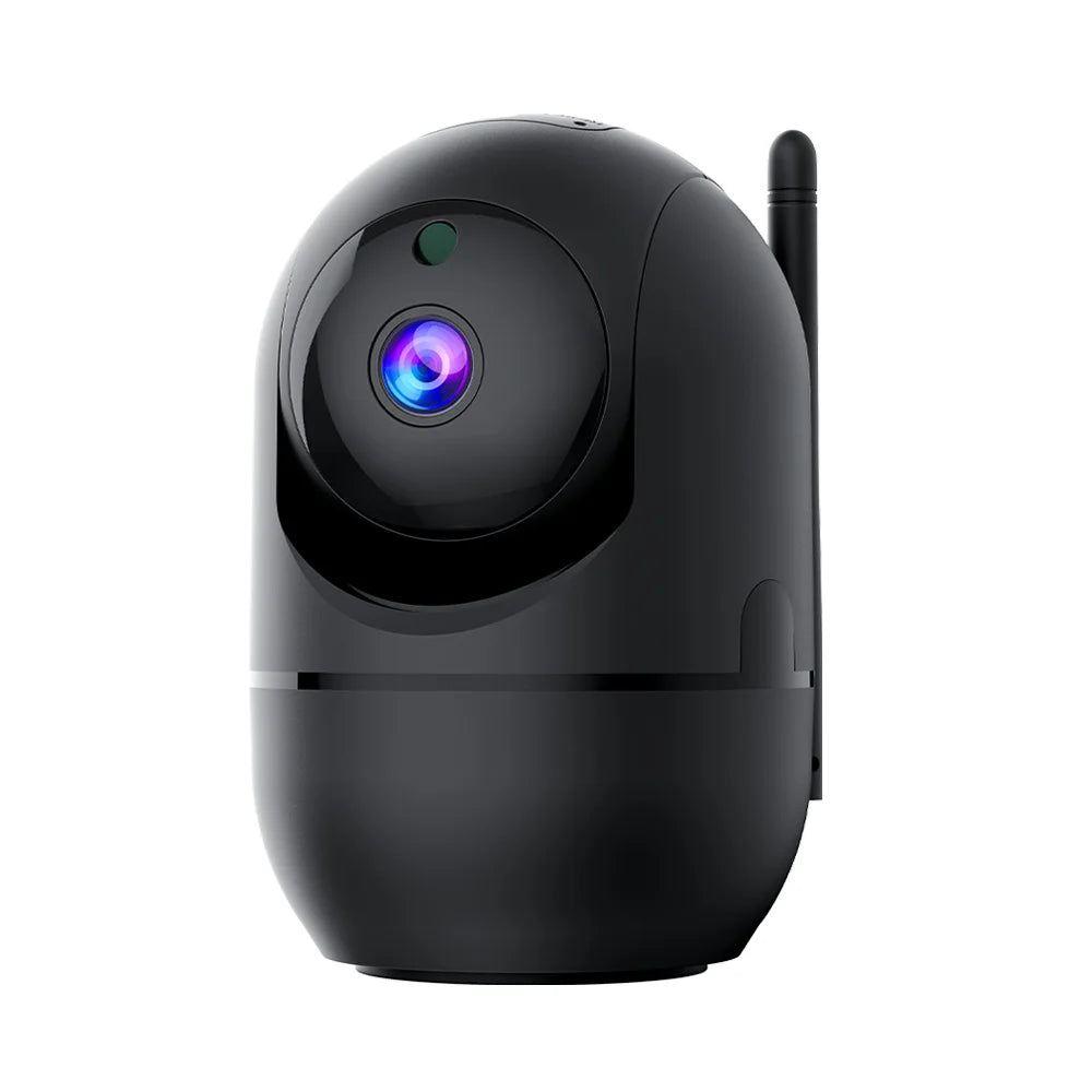 Scc386ba59a5647a8a90c05946019a5335